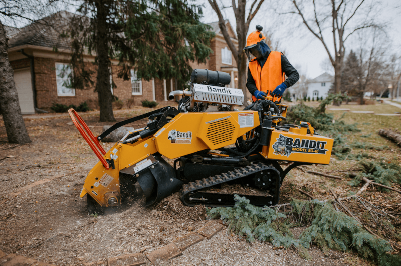 tree removal in Sioux falls, SD