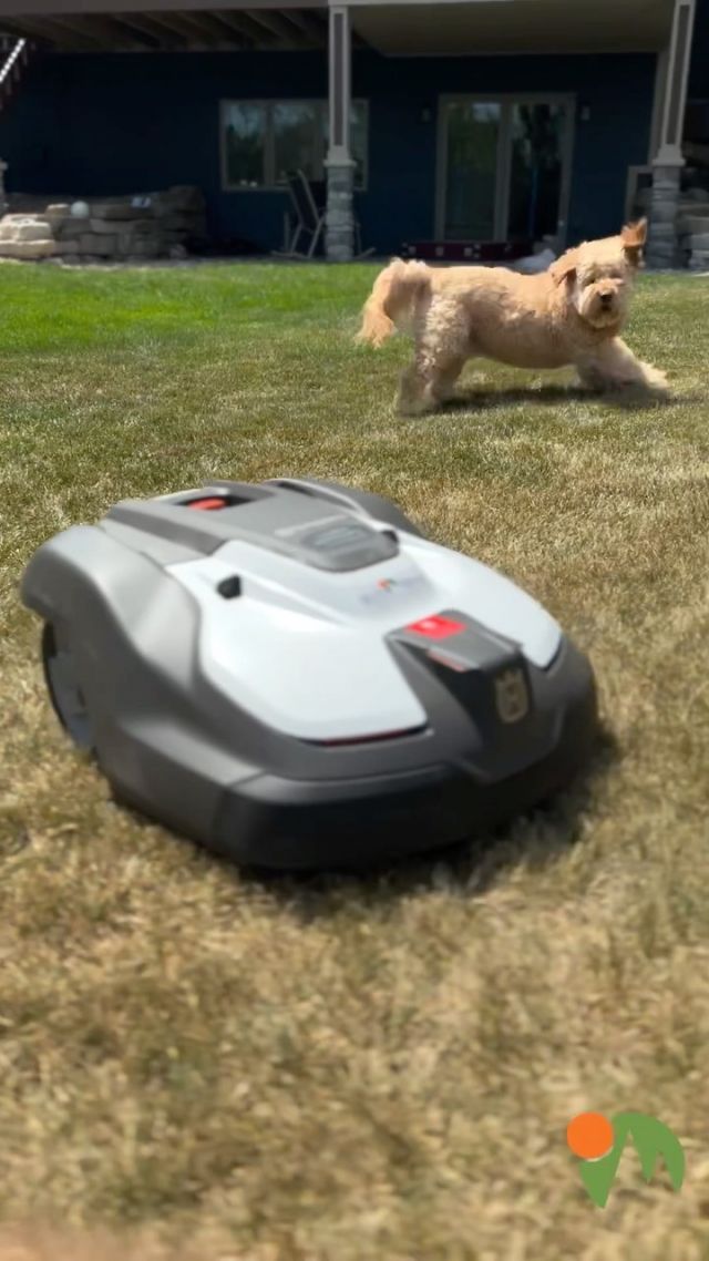 We’re always on the cutting-edge of all things lawncare in Sioux Falls and Rochester, and we have our first robotic mower up and running! We’ll test it out and become familiar with the technology this season and hope to have this option for our customers in the future! 

#WellerBrothersWay
#lawncare #lawnstripes #lawncarenut #lawnmaintenance #lawncarelife #lawncare_of_instagram #lawnservice #landscapes #landscapephotography #stripenation #landscaping #landscape_lovers #landscapeshot #landscapers_of_instagram #mowing #lawnmowing #lawncollection #lawncareservice #lawn #lawncarenation #lawnporn #landscape_photography #landscape_perfection #landscapephotographer #landscape_specialist #landscapecaptures #roboticmower @husqvarnausa @husqvarnaworldwide #husqvarnamowers