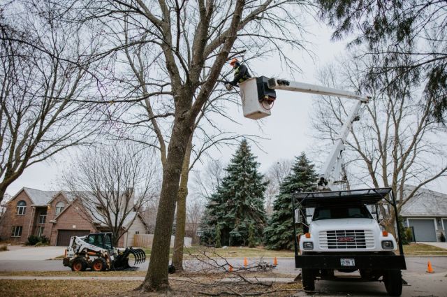 Did you know that winter is the best time to schedule tree pruning and removal? 

🌲 It’s easier to see the branch structure without leaves being in the way.
🌲 Because of the frozen soil, there is a reduced risk of compaction.
🌲 There are no pests around, which reduces pest and disease risk.
🌲 It’s less stressful for the tree while it’s dormant.

We anticipate that our winter tree pruning schedule will fill up quickly, so reach out soon to schedule your tree services.
