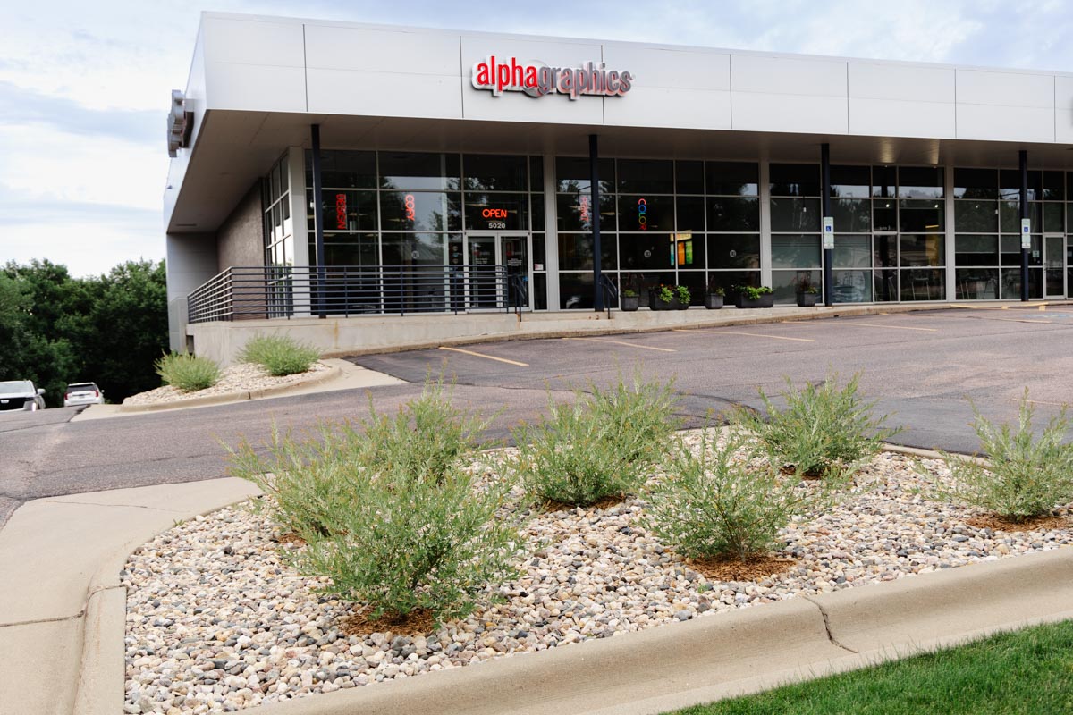 newly planted willows in a rock bed at alphagraphics in sioux falls