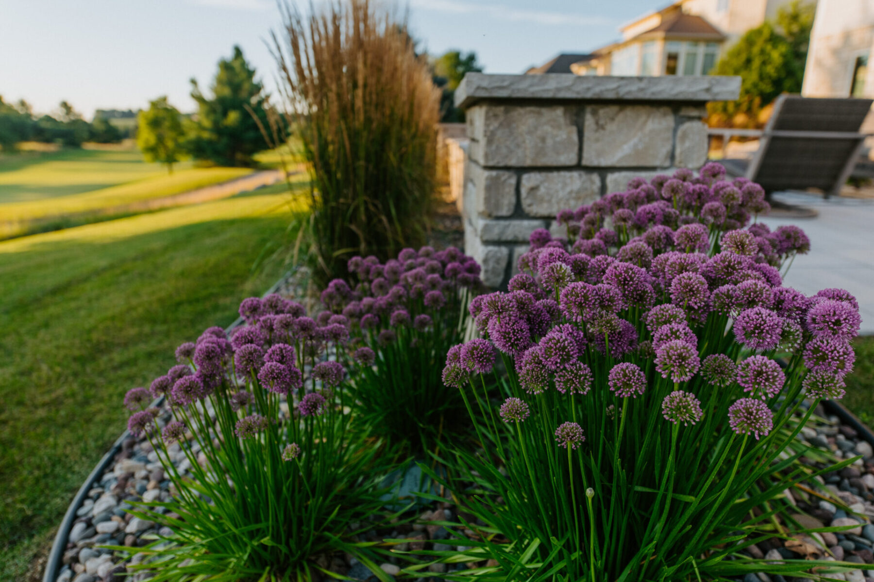 Plants in a landscape design