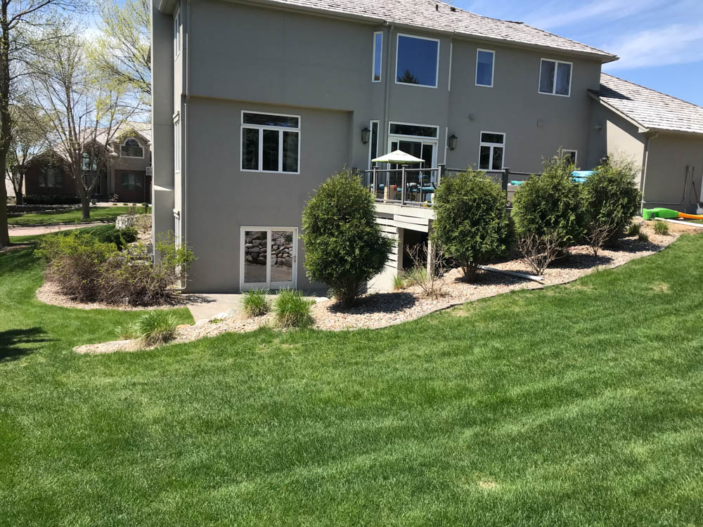 residential backyard before landscaping