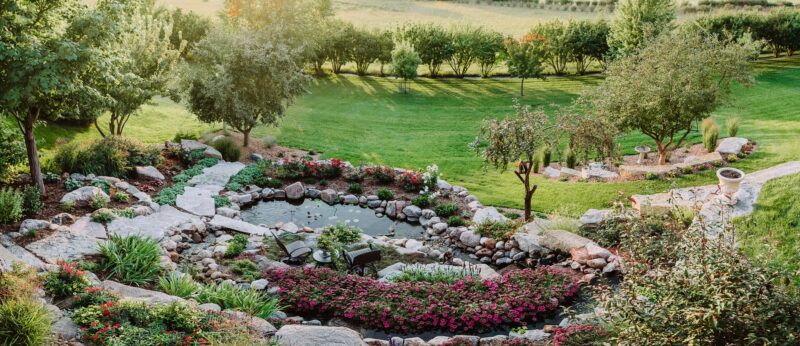 sloped backyard transformation with pond and flower beds