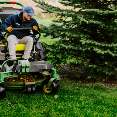 weller brothers employee mowing a lawn around a tree