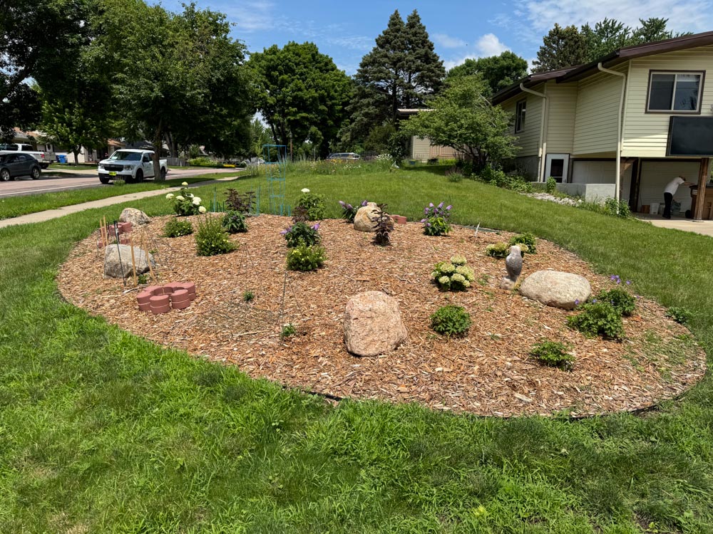 a green lawn with a mulch landscape bed and plants