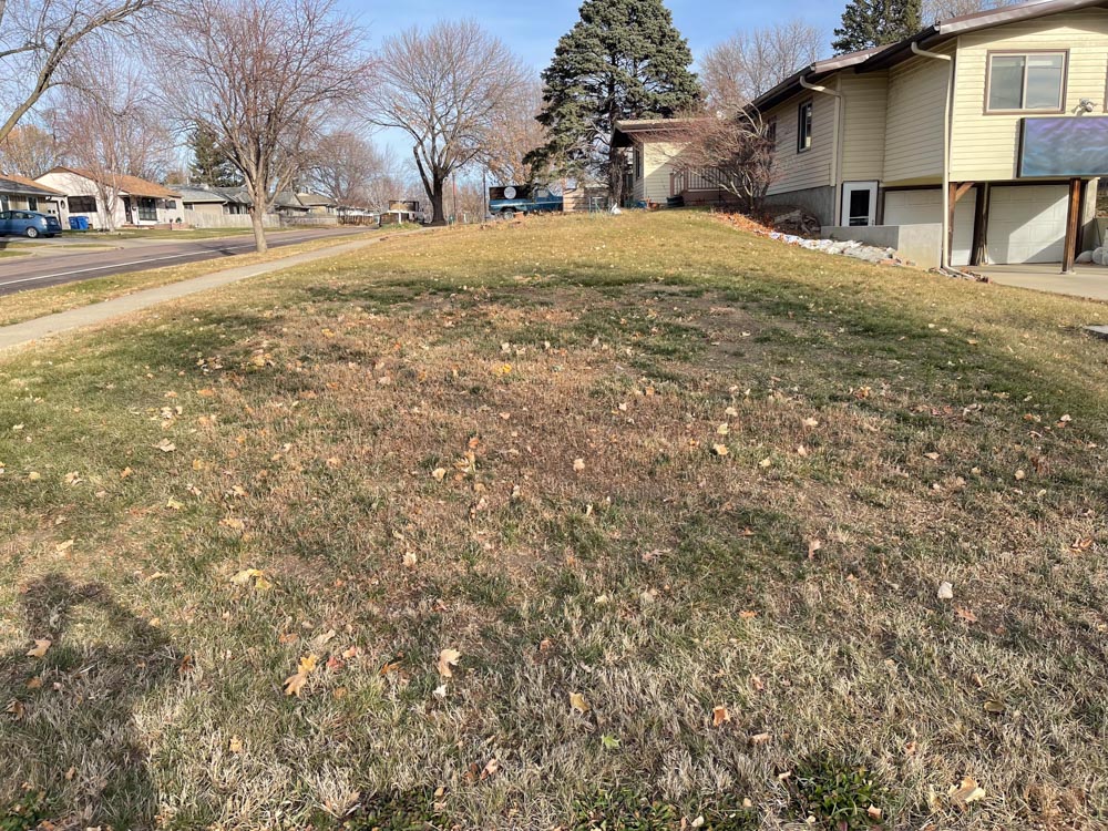 lawn with dead grass