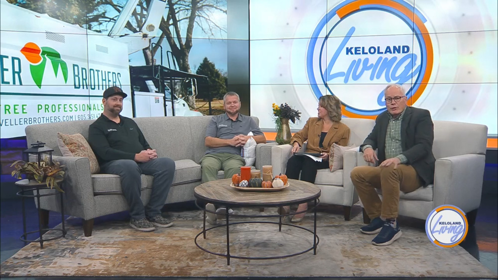 Weller Brothers arborists on Keloland Living