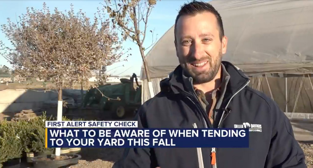 Ryan Benda of Weller Brothers Landscape Professionals on Dakota News Now