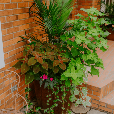 Seasonal flower pot at home