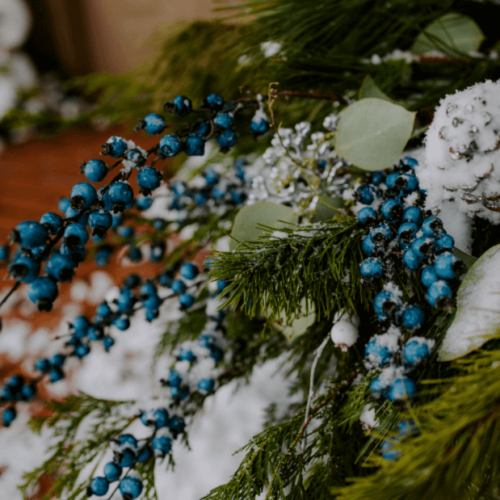 Close-up of winter berries in a seasonal pot