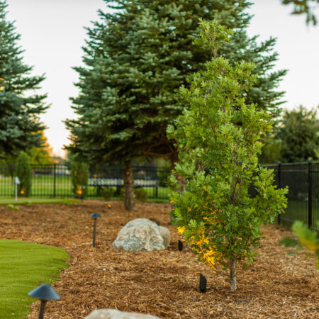 Trees in landscape mulch in a Sioux Falls, SD backyard by Weller Brothers Landscaping