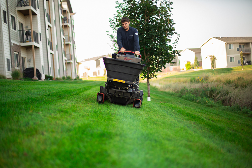 Professional lawn aeration by a lawn care professional